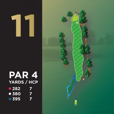 Hole #11