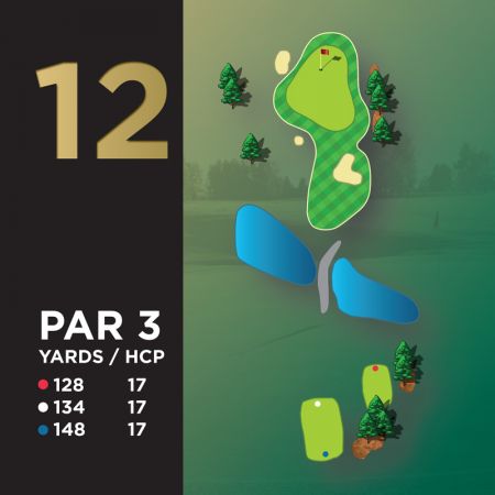 Hole #12