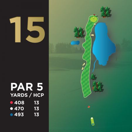 Hole #15