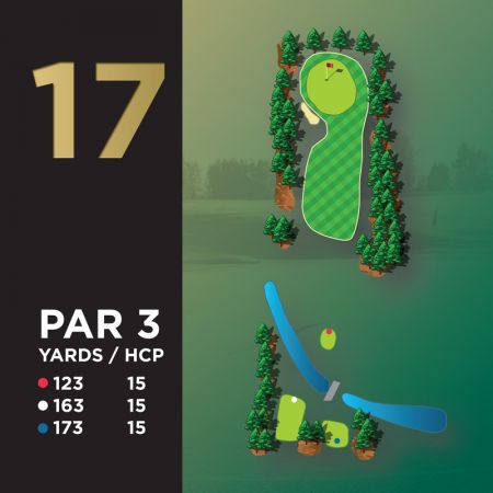 Hole #17