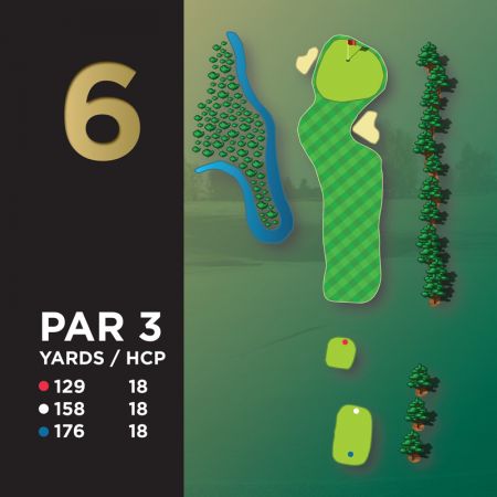 Hole #6